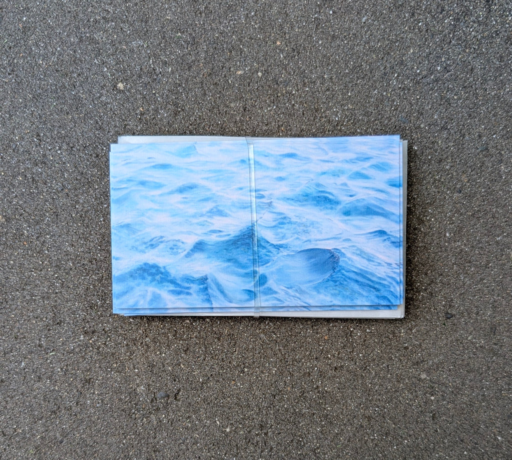 Salish Sea Note Cards