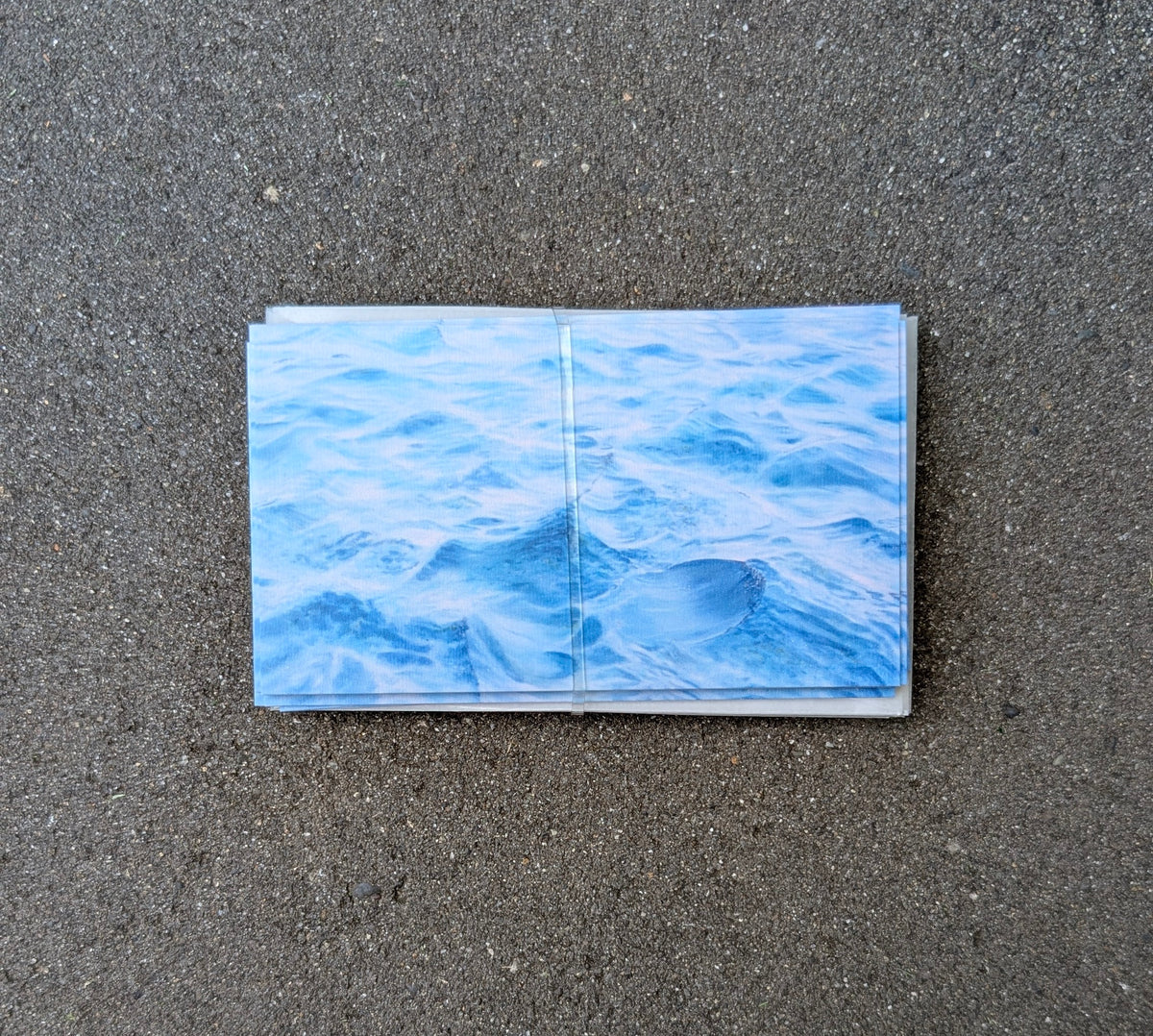 Salish Sea Note Cards