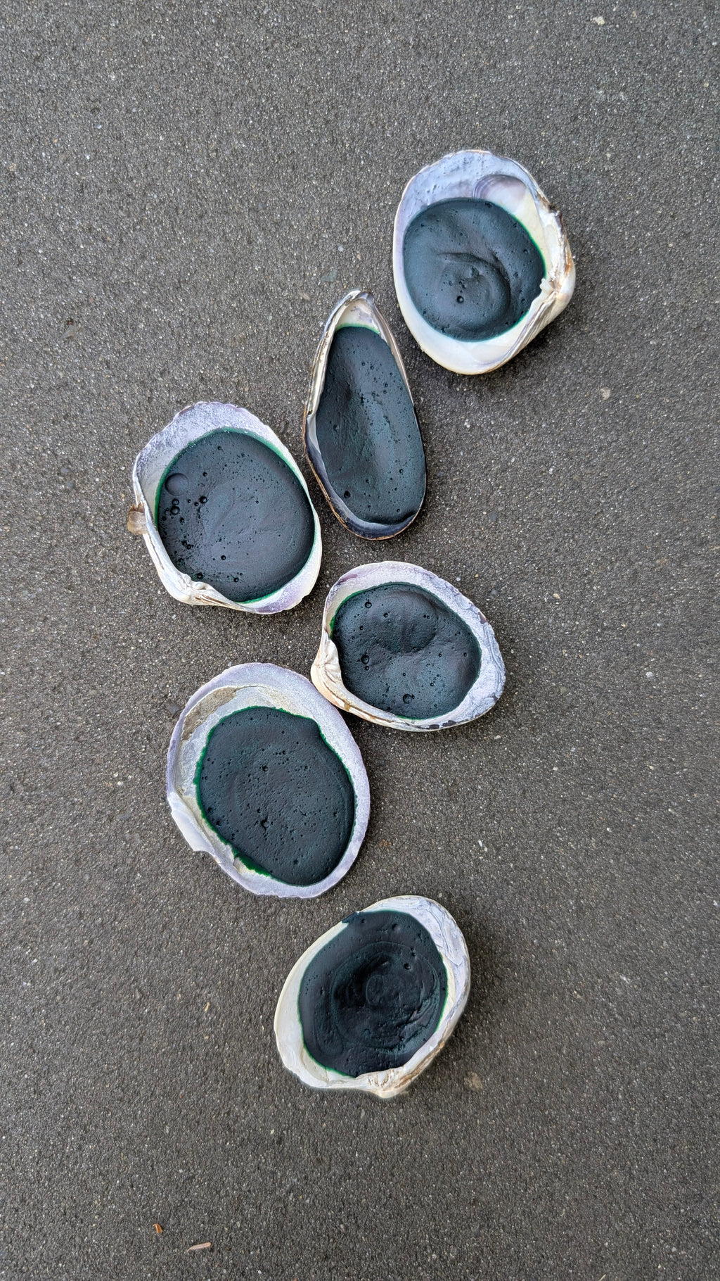 Bioluminescence in a shell