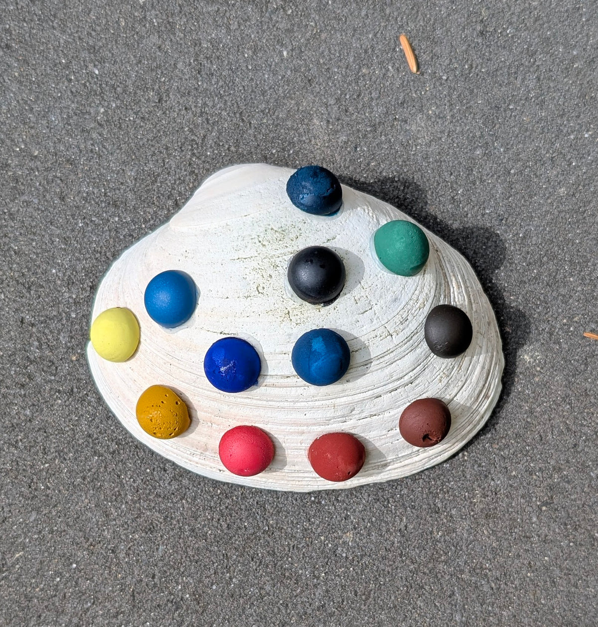 Shell Palette 2