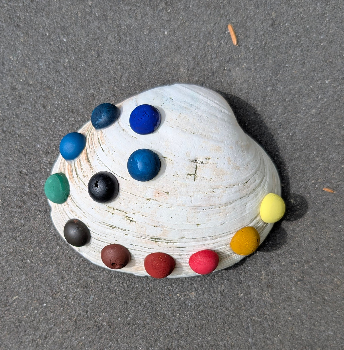 Shell Palette 1