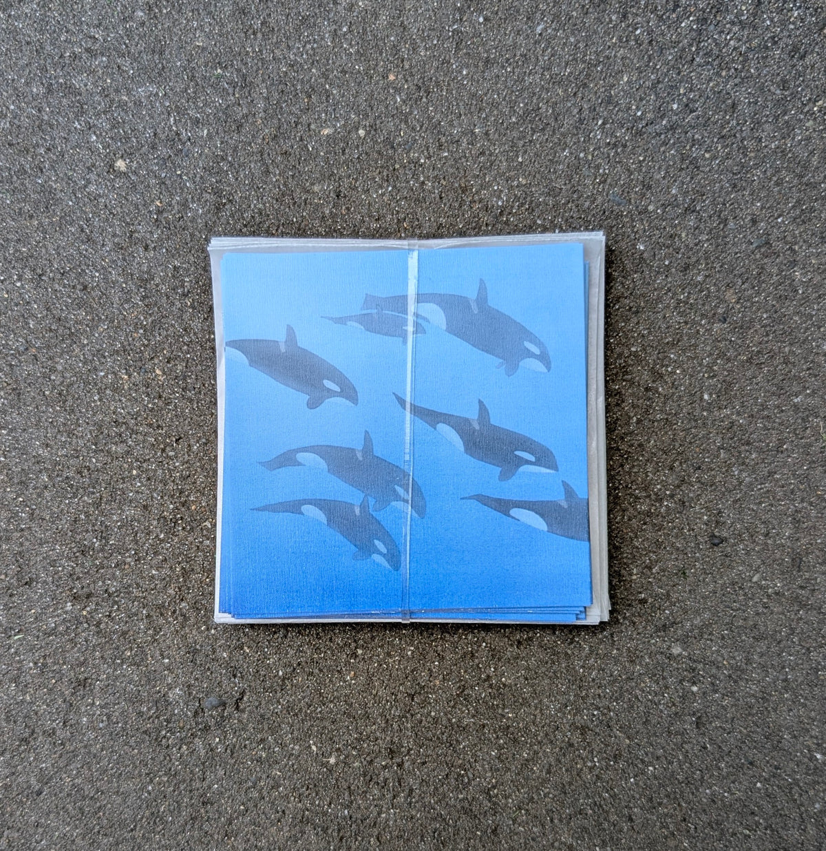 Biggs Note Cards